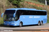 Viação Novo Horizonte 306 na cidade de Urucânia, Minas Gerais, Brasil, por Lucas Oliveira. Número da foto: #11898414.