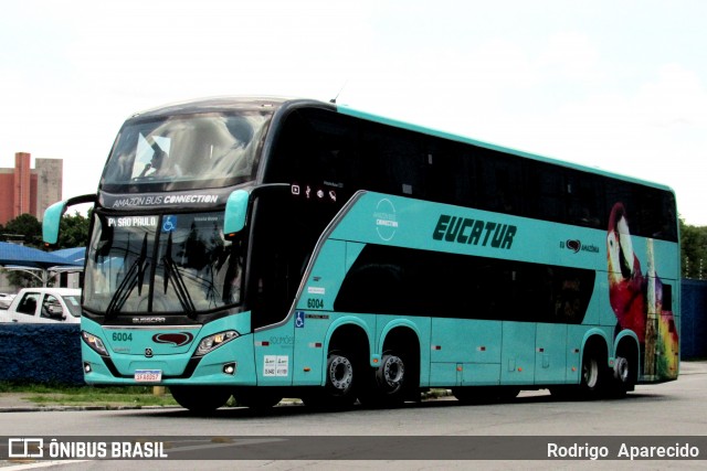 Eucatur - Empresa União Cascavel de Transportes e Turismo 6004 na cidade de São Paulo, São Paulo, Brasil, por Rodrigo  Aparecido. Número da foto: #11901058.