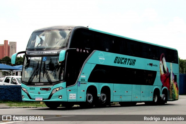 Eucatur - Empresa União Cascavel de Transportes e Turismo 6004 na cidade de São Paulo, São Paulo, Brasil, por Rodrigo  Aparecido. ID da foto: 11901058.