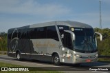 Bia Turismo > Aellos de Ouro 8221 na cidade de Santa Isabel, São Paulo, Brasil, por George Miranda. Número da foto: #11900971.
