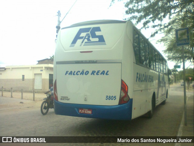 Falcão Real 3805 na cidade de Piritiba, Bahia, Brasil, por Mario dos Santos Nogueira Junior. ID da foto: 11905782.