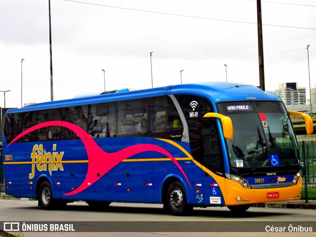 Rápido Expresso Fênix Viação 28025 na cidade de São Paulo, São Paulo, Brasil, por César Ônibus. ID da foto: 11908966.