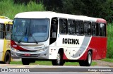 Rouxinol 1690 na cidade de Conselheiro Lafaiete, Minas Gerais, Brasil, por Rodrigo  Aparecido. Número da foto: #11908336.