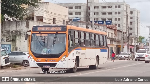 Rodotur Turismo 1.877 na cidade de Paulista, Pernambuco, Brasil, por Luiz Adriano Carlos. Número da foto: #11837854.