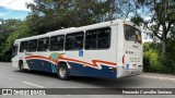 Auto Viação Salineira RJ 111.069 na cidade de Armação dos Búzios, Rio de Janeiro, Brasil, por Fernanda Carvalho Santana. Número da foto: #11843317.