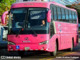 TRACOPA - Transportes Costarricenses Panameños 47 na cidade de La Uruca, San José, San José, Costa Rica, por Andrés Martínez Rodríguez. Número da foto: #11848270.