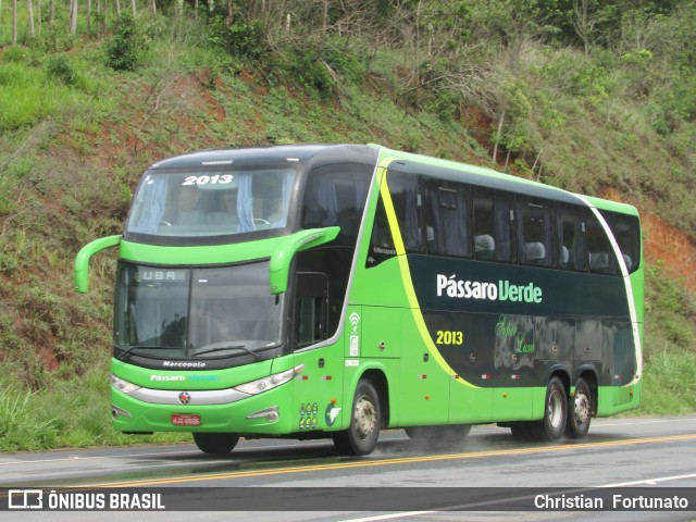 Pássaro Verde 2013 na cidade de Coimbra, Minas Gerais, Brasil, por Christian  Fortunato. Número da foto: #11850230.