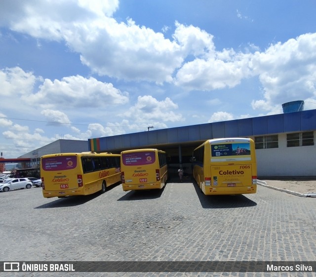 Coletivo Transportes 1008 na cidade de Agrestina, Pernambuco, Brasil, por Marcos Silva. Número da foto: #11851282.