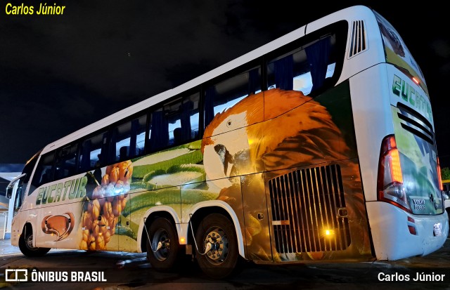 Eucatur - Empresa União Cascavel de Transportes e Turismo 4939 na cidade de Goiânia, Goiás, Brasil, por Carlos Júnior. Número da foto: #11853237.