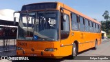 Cristo Rei > CCD Transporte Coletivo > SPE Via Mobilidade S/A DA301 na cidade de Curitiba, Paraná, Brasil, por Felipe Arguelho. Número da foto: #:id.