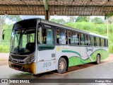 Turin Transportes 2013 na cidade de Ouro Branco, Minas Gerais, Brasil, por Rodrigo Silva. ID da foto: :id.