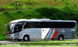 Empresa de Ônibus Pássaro Marron 91.006 na cidade de Aparecida, São Paulo, Brasil, por Rodrigo  Aparecido. Número da foto: #11935184.