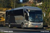 Bia Turismo > Aellos de Ouro 8221 na cidade de Santa Isabel, São Paulo, Brasil, por George Miranda. Número da foto: #11940803.