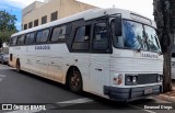 Prefeitura Municipal de Sabáudia 6507 na cidade de Apucarana, Paraná, Brasil, por Emanoel Diego.. Número da foto: #11939091.