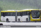 Transpiedade BC - Piedade Transportes Coletivos 816 na cidade de Balneário Camboriú, Santa Catarina, Brasil, por Diego Lip. Número da foto: #:id.