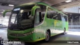Pássaro Verde 15131 na cidade de Belo Horizonte, Minas Gerais, Brasil, por Fábio Paixão. Número da foto: #11943947.