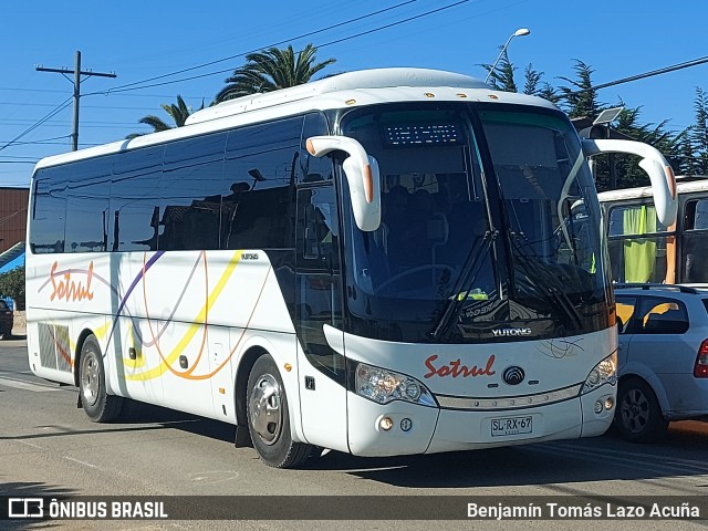 Sotrul SLRX67 na cidade de El Tabo, San Antonio, Valparaíso, Chile, por Benjamín Tomás Lazo Acuña. Número da foto: #11947297.