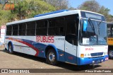 Brubuss Transportes 100 na cidade de Campinas, São Paulo, Brasil, por Prisco Martin Pereira. Número da foto: #:id.