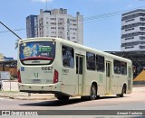 Araucária Transportes Coletivos 19067 na cidade de Curitiba, Paraná, Brasil, por Amauri Caetamo. Número da foto: #11951768.