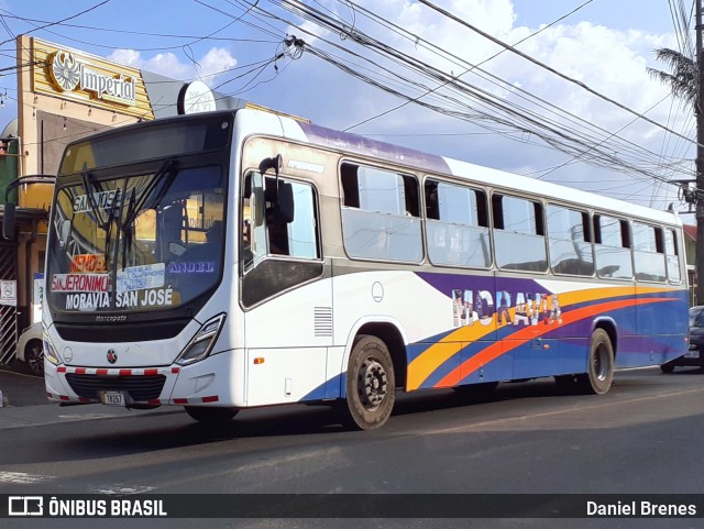 AMSA - Autotransportes Moravia 104 na cidade de San Vicente, Moravia, San José, Costa Rica, por Daniel Brenes. ID da foto: 11952924.