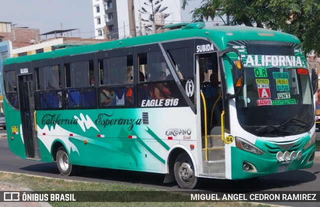 Empresa de Transportes Califórnia S.A 114 na cidade de Trujillo, Trujillo, La Libertad, Peru, por MIGUEL ANGEL CEDRON RAMIREZ. Número da foto: #11954605.