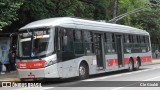 Himalaia Transportes > Ambiental Transportes Urbanos 4 1594 na cidade de São Paulo, São Paulo, Brasil, por Cle Giraldi. Número da foto: #11959127.