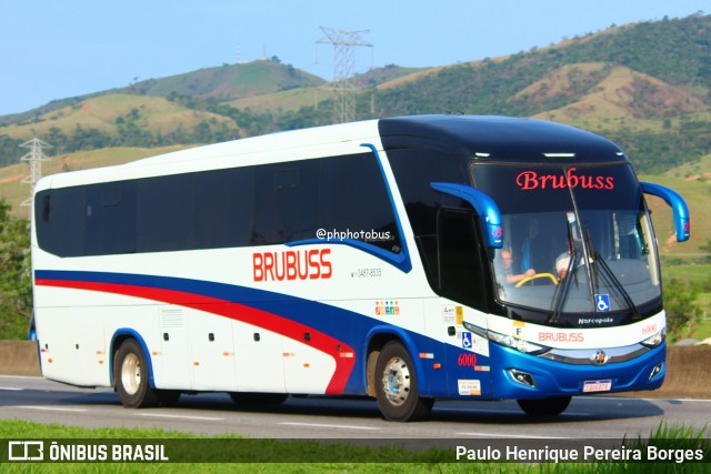Brubuss Transportes 6000 na cidade de Roseira, São Paulo, Brasil, por Paulo Henrique Pereira Borges. Número da foto: #11961094.