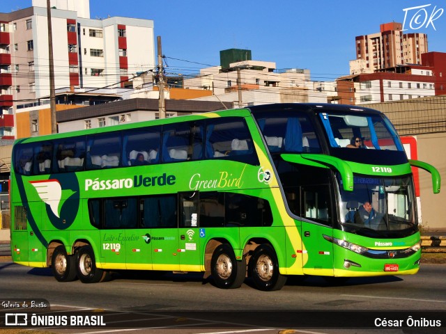 Pássaro Verde 12119 na cidade de Belo Horizonte, Minas Gerais, Brasil, por César Ônibus. Número da foto: #11963627.