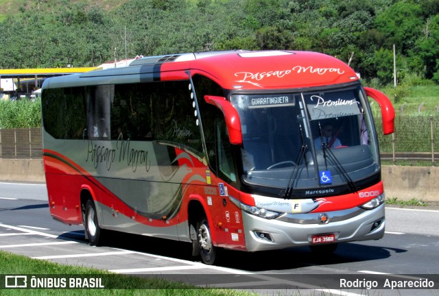 Empresa de Ônibus Pássaro Marron 6005 na cidade de Aparecida, São Paulo, Brasil, por Rodrigo  Aparecido. ID da foto: 11964693.