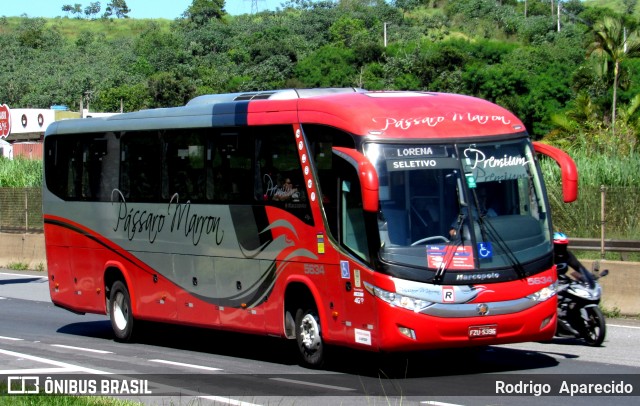 Empresa de Ônibus Pássaro Marron 5634 na cidade de Aparecida, São Paulo, Brasil, por Rodrigo  Aparecido. ID da foto: 11964685.