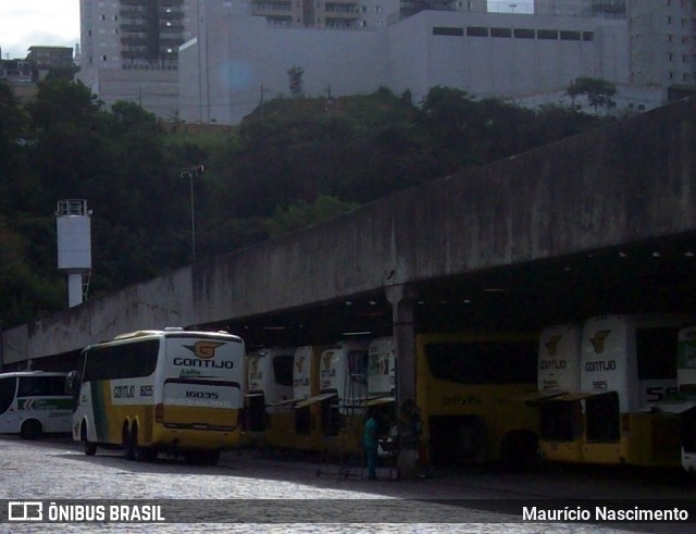 Empresa Gontijo de Transportes 16035 na cidade de Belo Horizonte, Minas Gerais, Brasil, por Maurício Nascimento. ID da foto: 11965656.