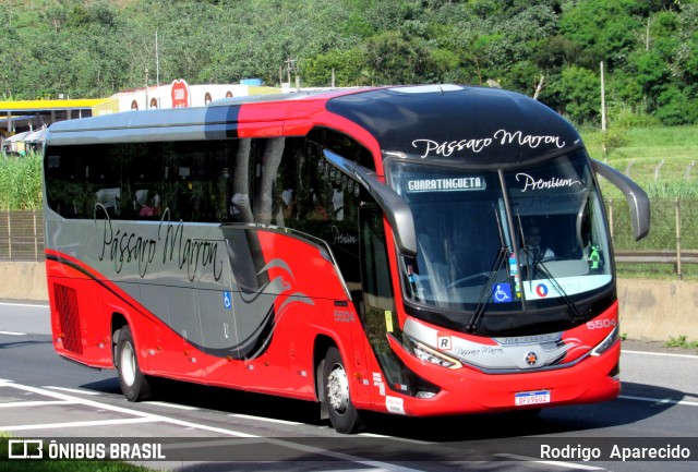 Empresa de Ônibus Pássaro Marron 5504 na cidade de Aparecida, São Paulo, Brasil, por Rodrigo  Aparecido. ID da foto: 11964642.