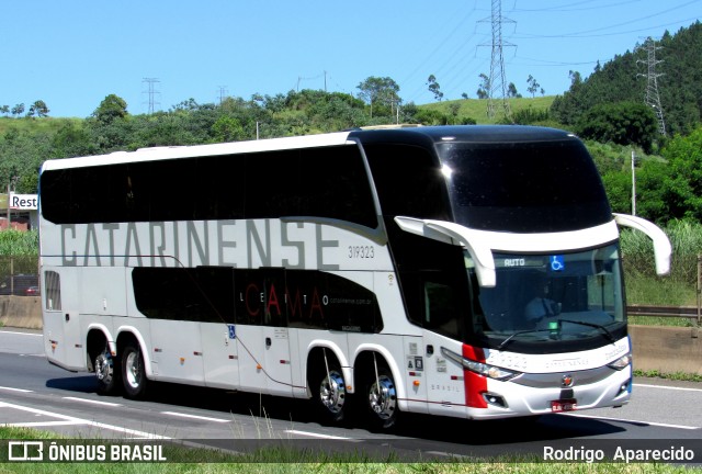 Auto Viação Catarinense 319323 na cidade de Aparecida, São Paulo, Brasil, por Rodrigo  Aparecido. Número da foto: #11966905.