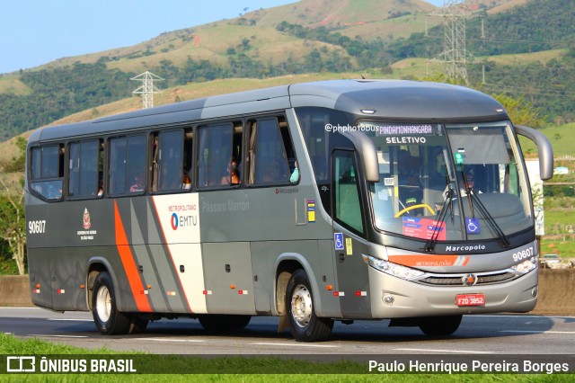 Empresa de Ônibus Pássaro Marron 90607 na cidade de Roseira, São Paulo, Brasil, por Paulo Henrique Pereira Borges. Número da foto: #11968750.