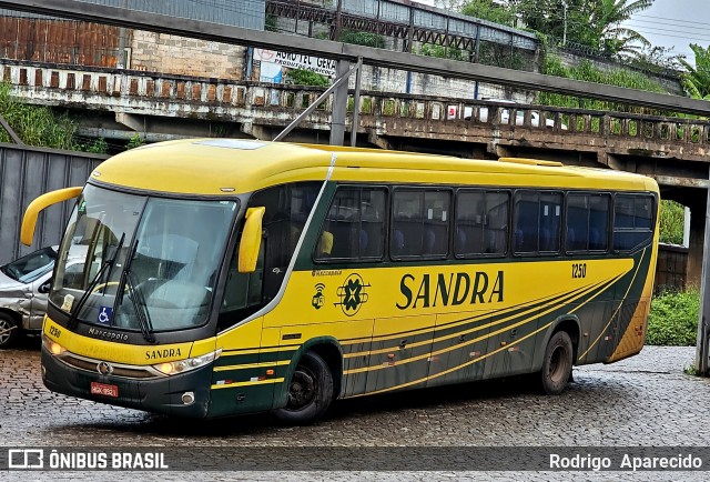 Viação Sandra 1250 na cidade de Conselheiro Lafaiete, Minas Gerais, Brasil, por Rodrigo  Aparecido. ID da foto: 11969401.