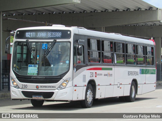 Borborema Imperial Transportes 230 na cidade de Recife, Pernambuco, Brasil, por Gustavo Felipe Melo. Número da foto: #11971374.
