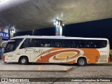 Viação Platina 5500 na cidade de Uberlândia, Minas Gerais, Brasil, por Anderson Gonçalves da Fonseca. Número da foto: #11972782.