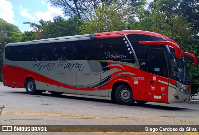 Empresa de Ônibus Pássaro Marron 6010 na cidade de São Paulo, São Paulo, Brasil, por Diego Cardoso da Silva. ID da foto: 11977256.