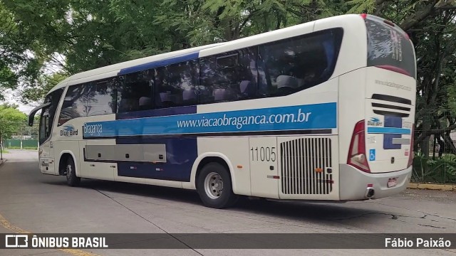 Auto Viação Bragança 11005 na cidade de São Paulo, São Paulo, Brasil, por Fábio Paixão. Número da foto: #11978027.