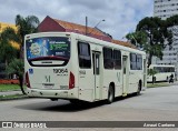 Araucária Transportes Coletivos 19064 na cidade de Curitiba, Paraná, Brasil, por Amauri Caetamo. Número da foto: #11977119.