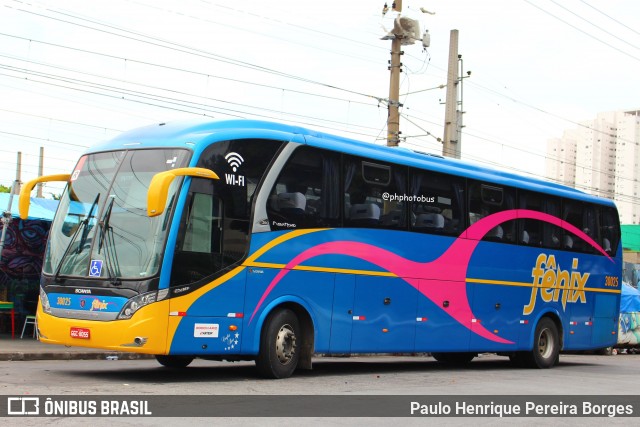 Rápido Expresso Fênix Viação 30025 na cidade de São Paulo, São Paulo, Brasil, por Paulo Henrique Pereira Borges. Número da foto: #11914797.