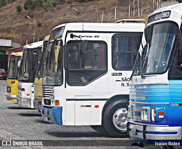 Bio Control - Controle Ambiental Científico 5803 na cidade de Juiz de Fora, Minas Gerais, Brasil, por Isaias Ralen. Número da foto: #11916058.
