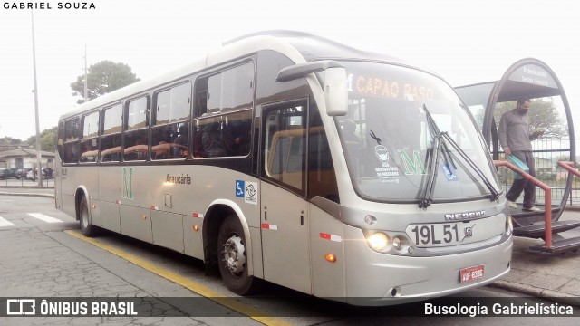 Araucária Transportes Coletivos 19L51 na cidade de Curitiba, Paraná, Brasil, por Busologia Gabrielística. Número da foto: #11980753.