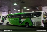 Pássaro Verde 11081 na cidade de Belo Horizonte, Minas Gerais, Brasil, por Maurício Nascimento. Número da foto: #:id.