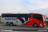 Viação Santana Iapó 2501 na cidade de Curitiba, Paraná, Brasil, por Gabriel Marciniuk. Número da foto: #11917537.