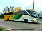 Empresa Gontijo de Transportes 7100 na cidade de Ipatinga, Minas Gerais, Brasil, por Celso ROTA381. Número da foto: #11916945.
