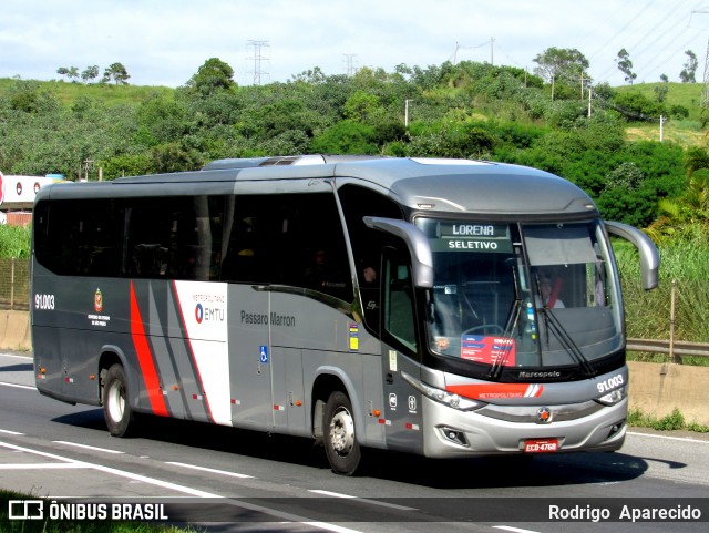Empresa de Ônibus Pássaro Marron 91.003 na cidade de Aparecida, São Paulo, Brasil, por Rodrigo  Aparecido. Número da foto: #11920236.