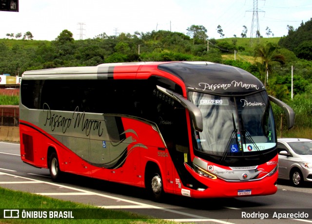 Empresa de Ônibus Pássaro Marron 5504 na cidade de Aparecida, São Paulo, Brasil, por Rodrigo  Aparecido. ID da foto: 11924604.