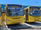 Prefeitura Municipal de Maricá 3223 na cidade de Maricá, Rio de Janeiro, Brasil, por Miguel Souza. Número da foto: #11924909.