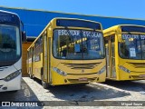 Prefeitura Municipal de Maricá 3210 na cidade de Maricá, Rio de Janeiro, Brasil, por Miguel Souza. Número da foto: #11924904.